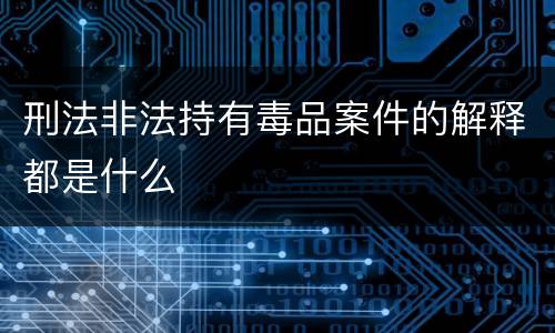 刑法非法持有毒品案件的解释都是什么