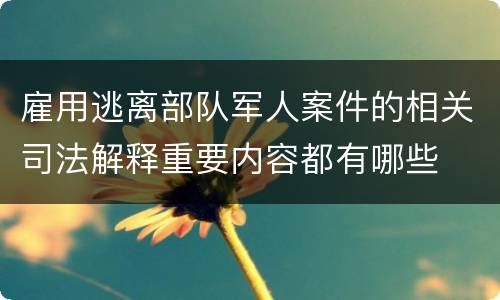 雇用逃离部队军人案件的相关司法解释重要内容都有哪些