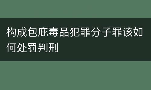构成包庇毒品犯罪分子罪该如何处罚判刑