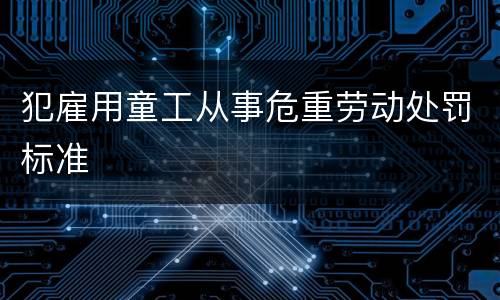 犯雇用童工从事危重劳动处罚标准