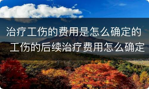 治疗工伤的费用是怎么确定的 工伤的后续治疗费用怎么确定