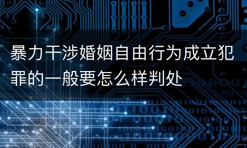 暴力干涉婚姻自由行为成立犯罪的一般要怎么样判处