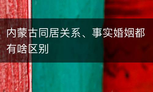内蒙古同居关系、事实婚姻都有啥区别