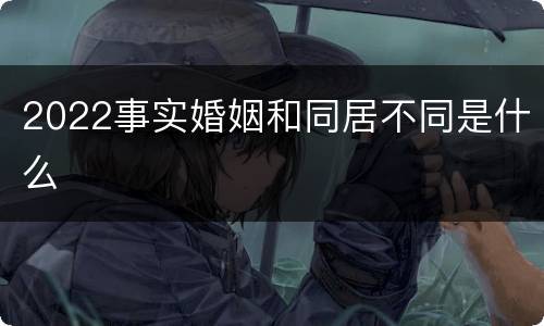 2022事实婚姻和同居不同是什么