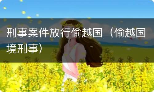 刑事案件放行偷越国（偷越国境刑事）
