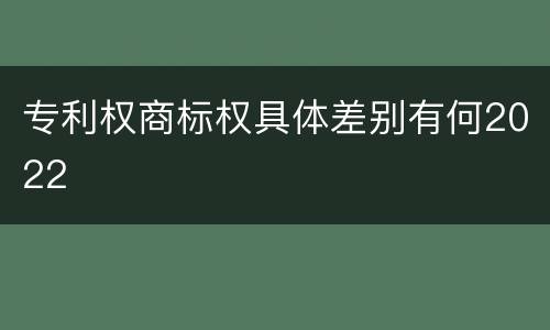 专利权商标权具体差别有何2022