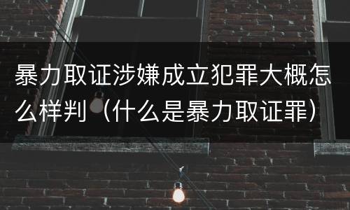 暴力取证涉嫌成立犯罪大概怎么样判（什么是暴力取证罪）