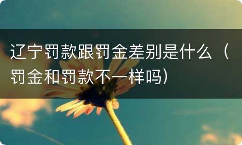 辽宁罚款跟罚金差别是什么（罚金和罚款不一样吗）
