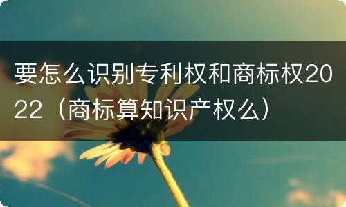 要怎么识别专利权和商标权2022（商标算知识产权么）