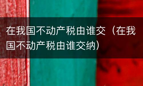在我国不动产税由谁交（在我国不动产税由谁交纳）