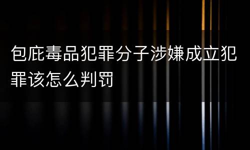 包庇毒品犯罪分子涉嫌成立犯罪该怎么判罚