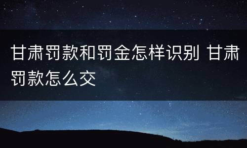 甘肃罚款和罚金怎样识别 甘肃罚款怎么交