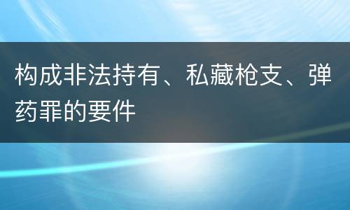 构成非法持有、私藏枪支、弹药罪的要件