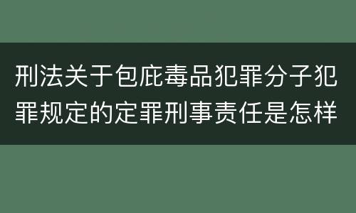 刑法关于包庇毒品犯罪分子犯罪规定的定罪刑事责任是怎样的