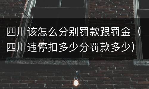 四川该怎么分别罚款跟罚金（四川违停扣多少分罚款多少）