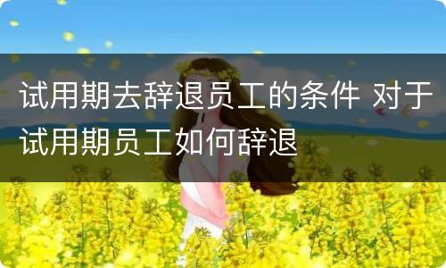 试用期去辞退员工的条件 对于试用期员工如何辞退
