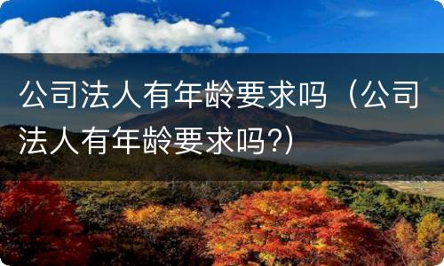 公司法人有年龄要求吗（公司法人有年龄要求吗?）