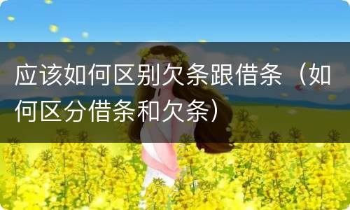 应该如何区别欠条跟借条（如何区分借条和欠条）