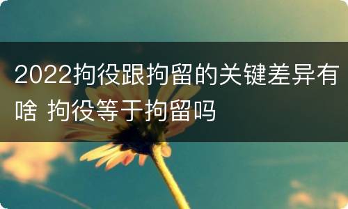 2022拘役跟拘留的关键差异有啥 拘役等于拘留吗