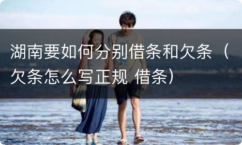 湖南要如何分别借条和欠条（欠条怎么写正规 借条）