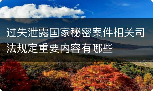 过失泄露国家秘密案件相关司法规定重要内容有哪些