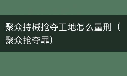 聚众持械抢夺工地怎么量刑（聚众抢夺罪）
