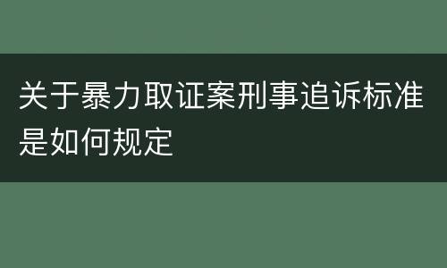 关于暴力取证案刑事追诉标准是如何规定