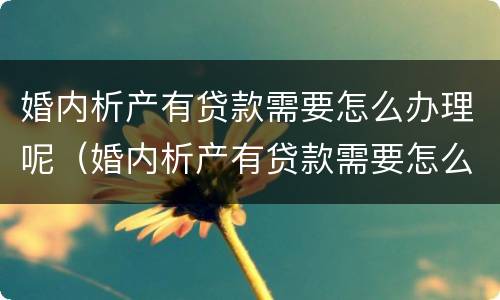 婚内析产有贷款需要怎么办理呢（婚内析产有贷款需要怎么办理呢女方）