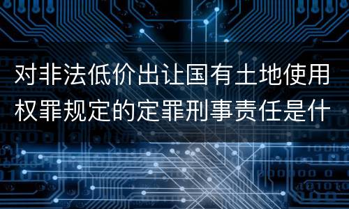 对非法低价出让国有土地使用权罪规定的定罪刑事责任是什么