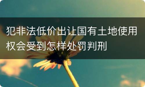 犯非法低价出让国有土地使用权会受到怎样处罚判刑