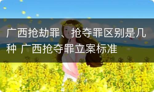 广西抢劫罪、抢夺罪区别是几种 广西抢夺罪立案标准