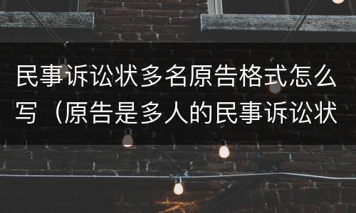 民事诉讼状多名原告格式怎么写（原告是多人的民事诉讼状范文）