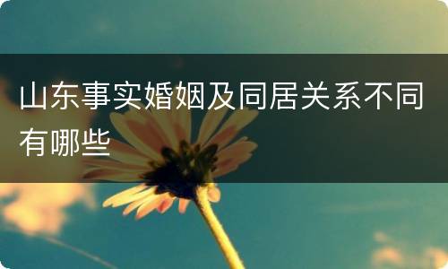 山东事实婚姻及同居关系不同有哪些