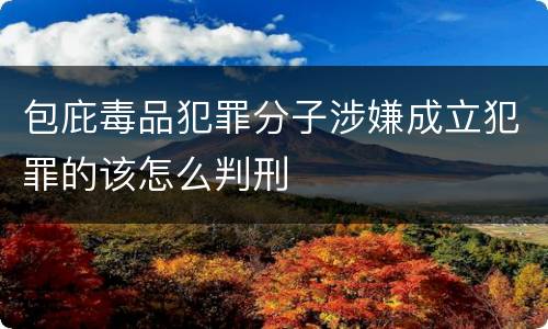 包庇毒品犯罪分子涉嫌成立犯罪的该怎么判刑