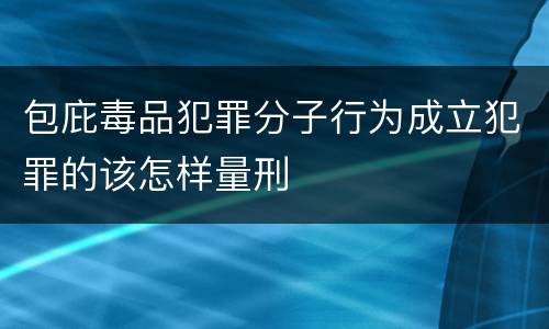 包庇毒品犯罪分子行为成立犯罪的该怎样量刑