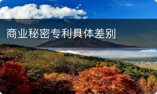 商业秘密专利具体差别