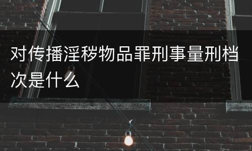 对传播淫秽物品罪刑事量刑档次是什么
