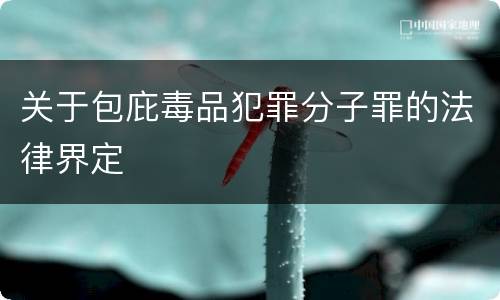 关于包庇毒品犯罪分子罪的法律界定