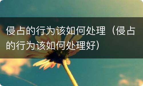 侵占的行为该如何处理（侵占的行为该如何处理好）