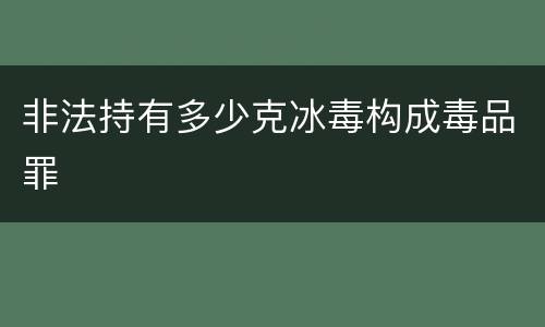 非法持有多少克冰毒构成毒品罪
