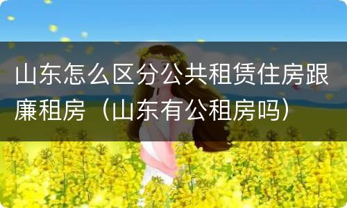 山东怎么区分公共租赁住房跟廉租房（山东有公租房吗）