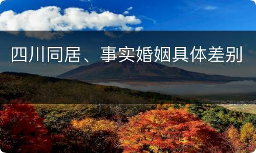 四川同居、事实婚姻具体差别
