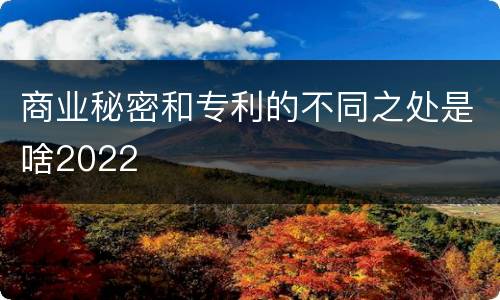 商业秘密和专利的不同之处是啥2022