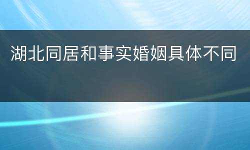 湖北同居和事实婚姻具体不同
