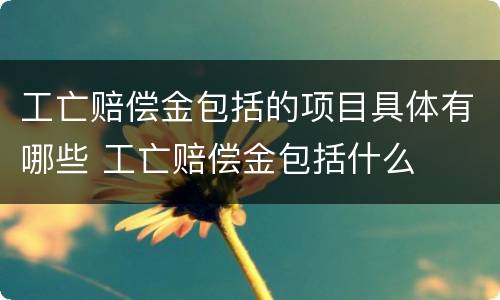 工亡赔偿金包括的项目具体有哪些 工亡赔偿金包括什么