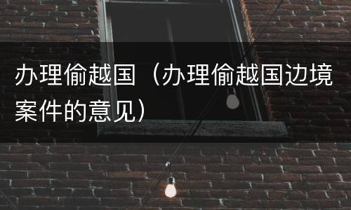 办理偷越国（办理偷越国边境案件的意见）