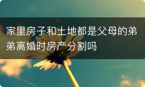 家里房子和土地都是父母的弟弟离婚时房产分割吗