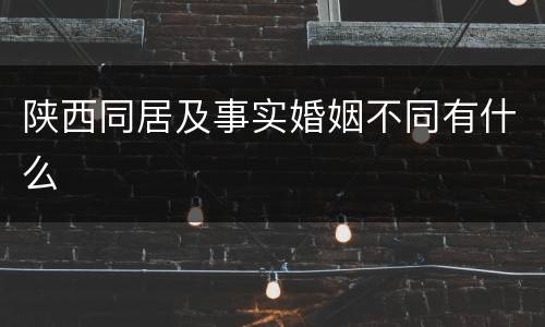 陕西同居及事实婚姻不同有什么