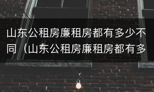 山东公租房廉租房都有多少不同（山东公租房廉租房都有多少不同的房子）