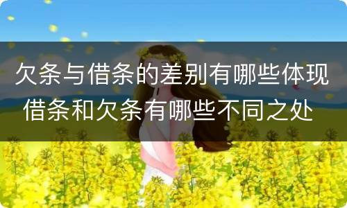 欠条与借条的差别有哪些体现 借条和欠条有哪些不同之处